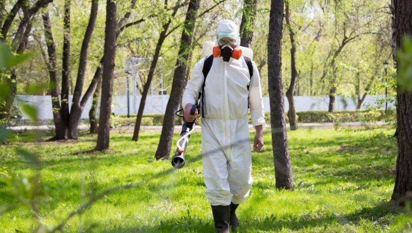 Уничтожение комаров в Ростове-на-Дону