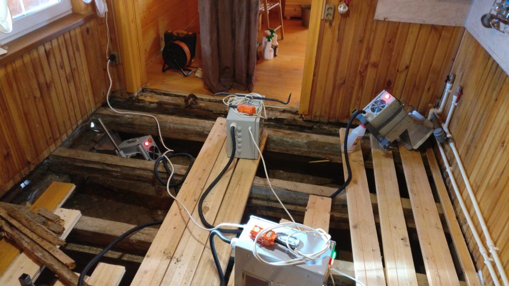 Жук древоточец как избавиться в деревянном доме